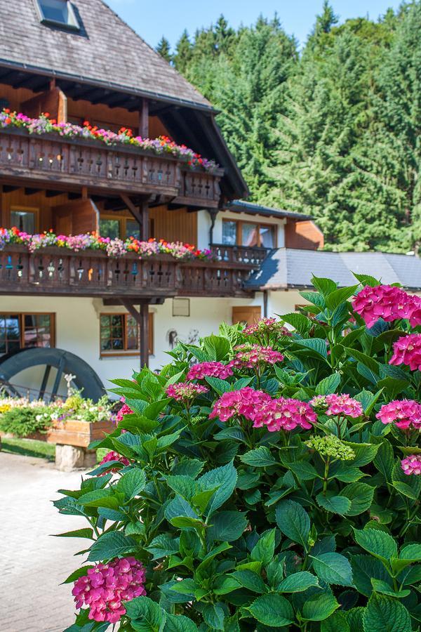 Hotel Tannenmuehle Графенхаузен Экстерьер фото
